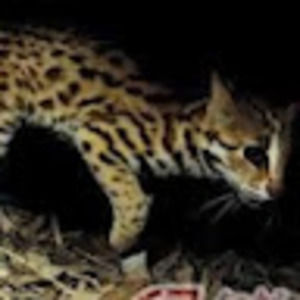 Meet your Posher, Juliane